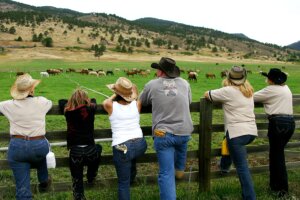 Colorado Dude Ranch