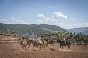 Dude ranch vacations